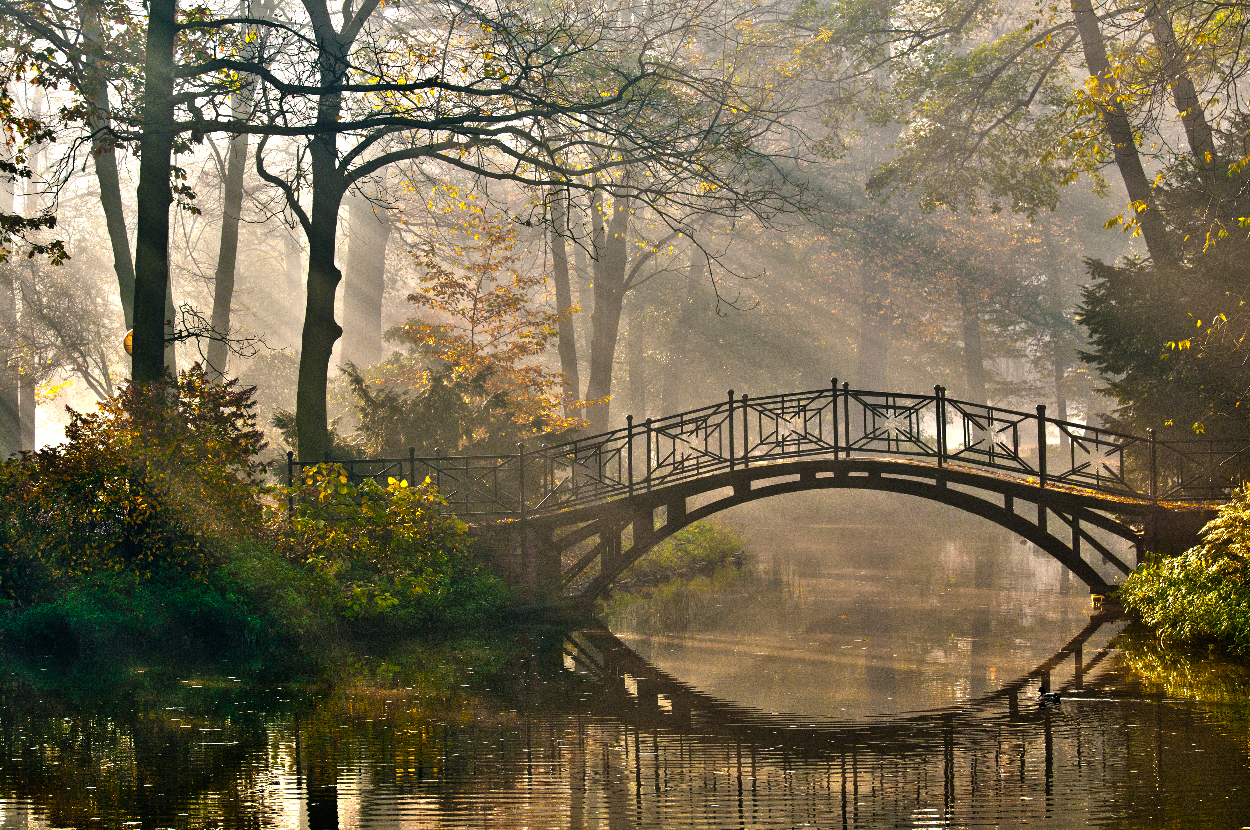 Respect nature ritual